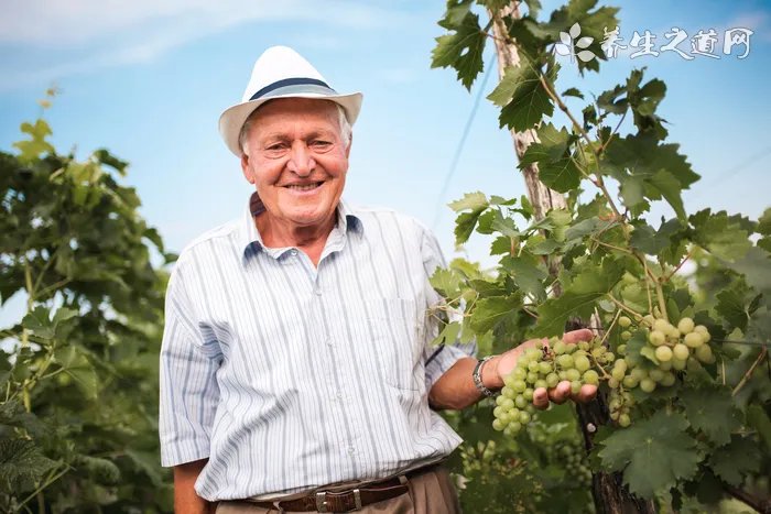 　childlife钙镁锌的作用