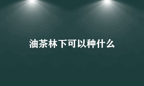 油茶林下可以种什么
