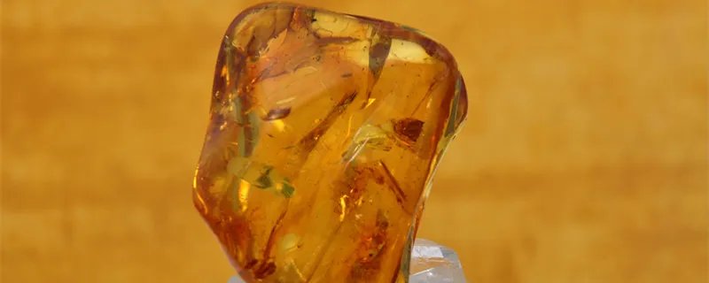 琥珀形成的四个条件 琥珀形成的四个条件是什么