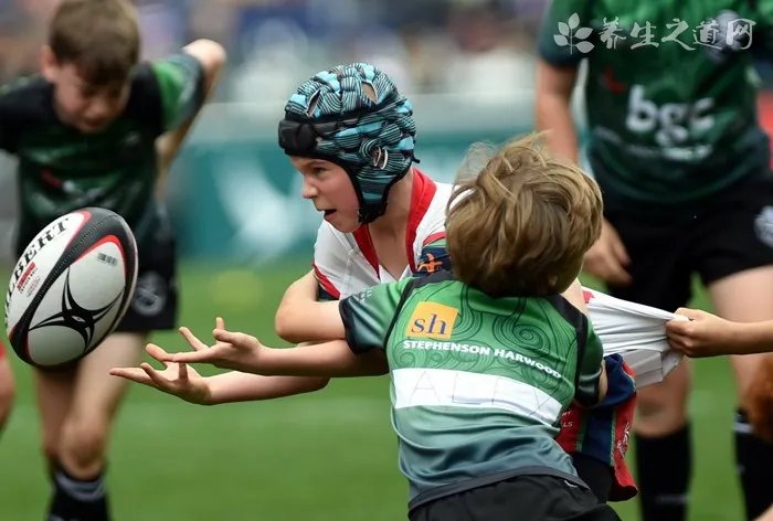 遇到蛇如何逃跑?附上打蛇打七寸的准确位置图解