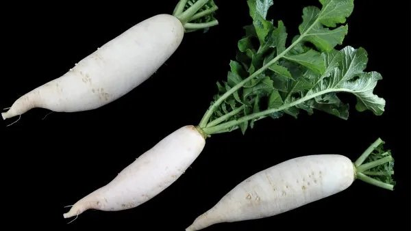 降火吃什么 哪些食物可以败火