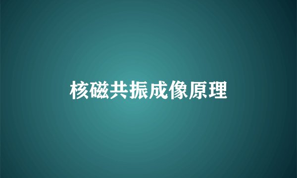 核磁共振成像原理