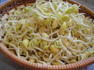 自制黄豆芽