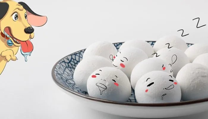 元宵节吃元宵的寓意 元宵节的元宵象征着什么