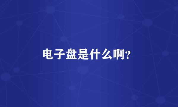 电子盘是什么啊？