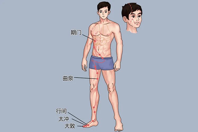 经络十二经脉图解