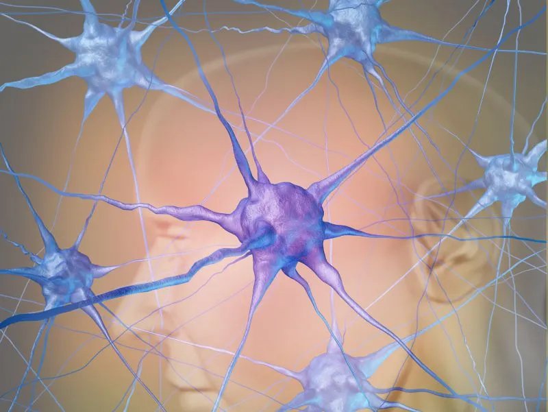 松果体素的作用