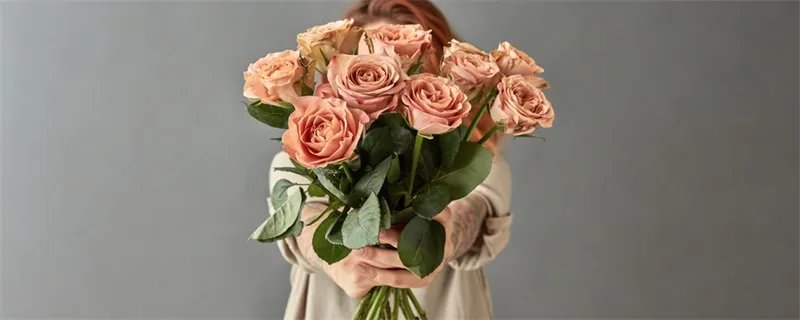 粉红玫瑰花语 粉红玫瑰花语是什么