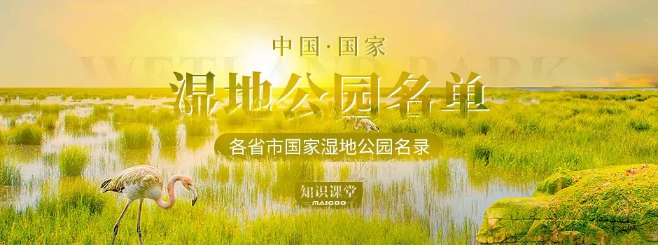 【国内各大城市活动汇总】城市文化_展会展览_节日活动_体育赛事等