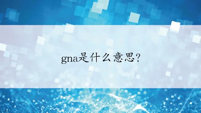 gna是什么意思？