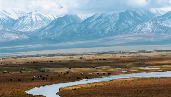 青海的省会是哪里 青海的省会城市在哪里