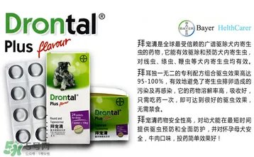拜宠清要怎么喂?拜宠清驱虫药说明书