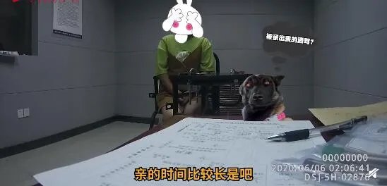 女子与男友接吻时间长被测出酒驾 详情经过介绍原来是这样