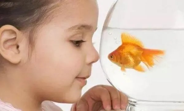 好奇/ 好奇心  英文怎么说