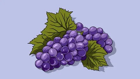 葡萄的营养价值及功效