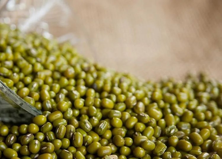 绿豆的功效与作用