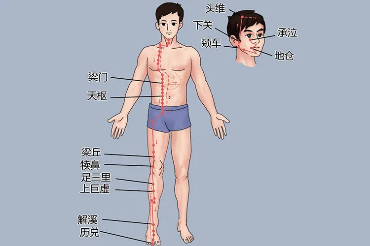 艾灸人体的经络位置图