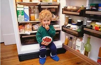 冰箱冷藏室不制冷的原因 冷藏室不制冷的原因介绍