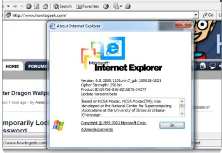explorer什么意思