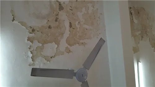 墙体裂缝产生的原因是什么 墙体开裂怎么办