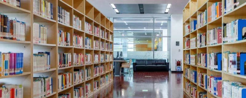 芭蕉不展丁香结丁香空结雨中愁什么意思