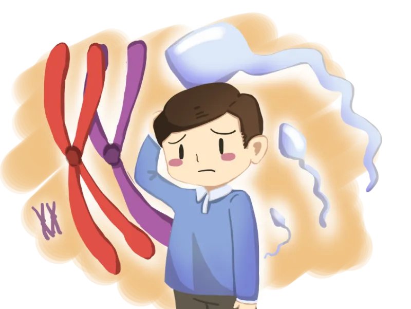 “云南省人类精子库倡议大学生捐精:要求身高165以上”引热议,捐精为啥对身高有要求?