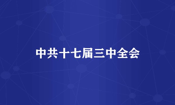 中共十七届三中全会