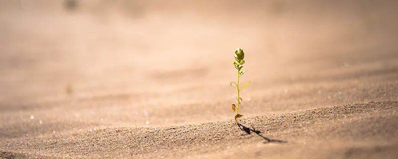 早穿皮袄午穿纱原因是什么 早穿皮袄午穿纱反应了什么