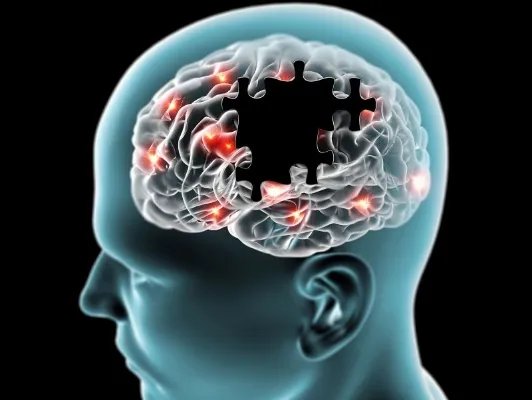 右脑发达的人会怎样