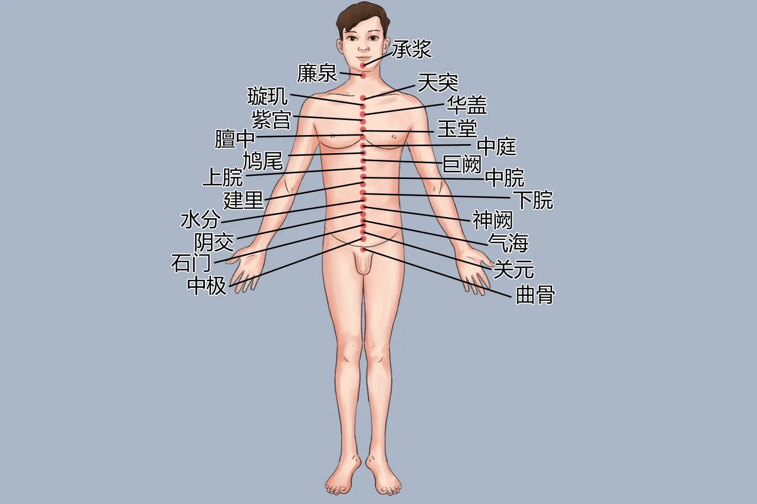 任督二脉的准确位置图
