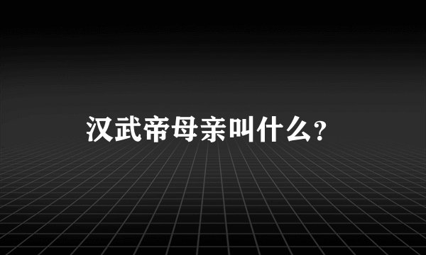 汉武帝母亲叫什么?