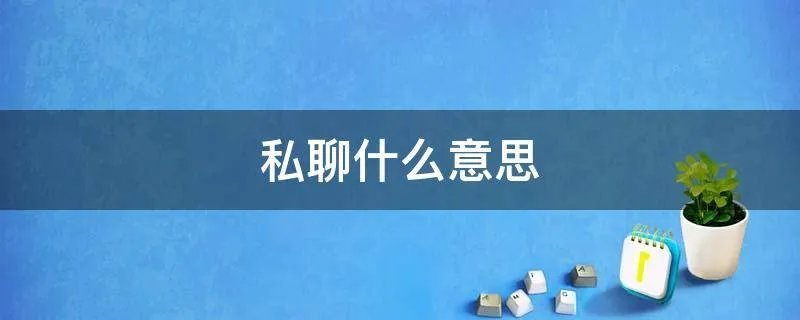 私聊什么意思