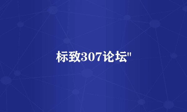 标致307论坛