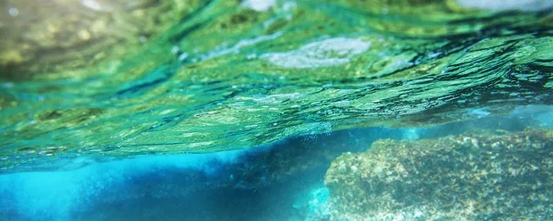 小溪泛尽却山行什么意思 小溪泛尽却山行是什么意思