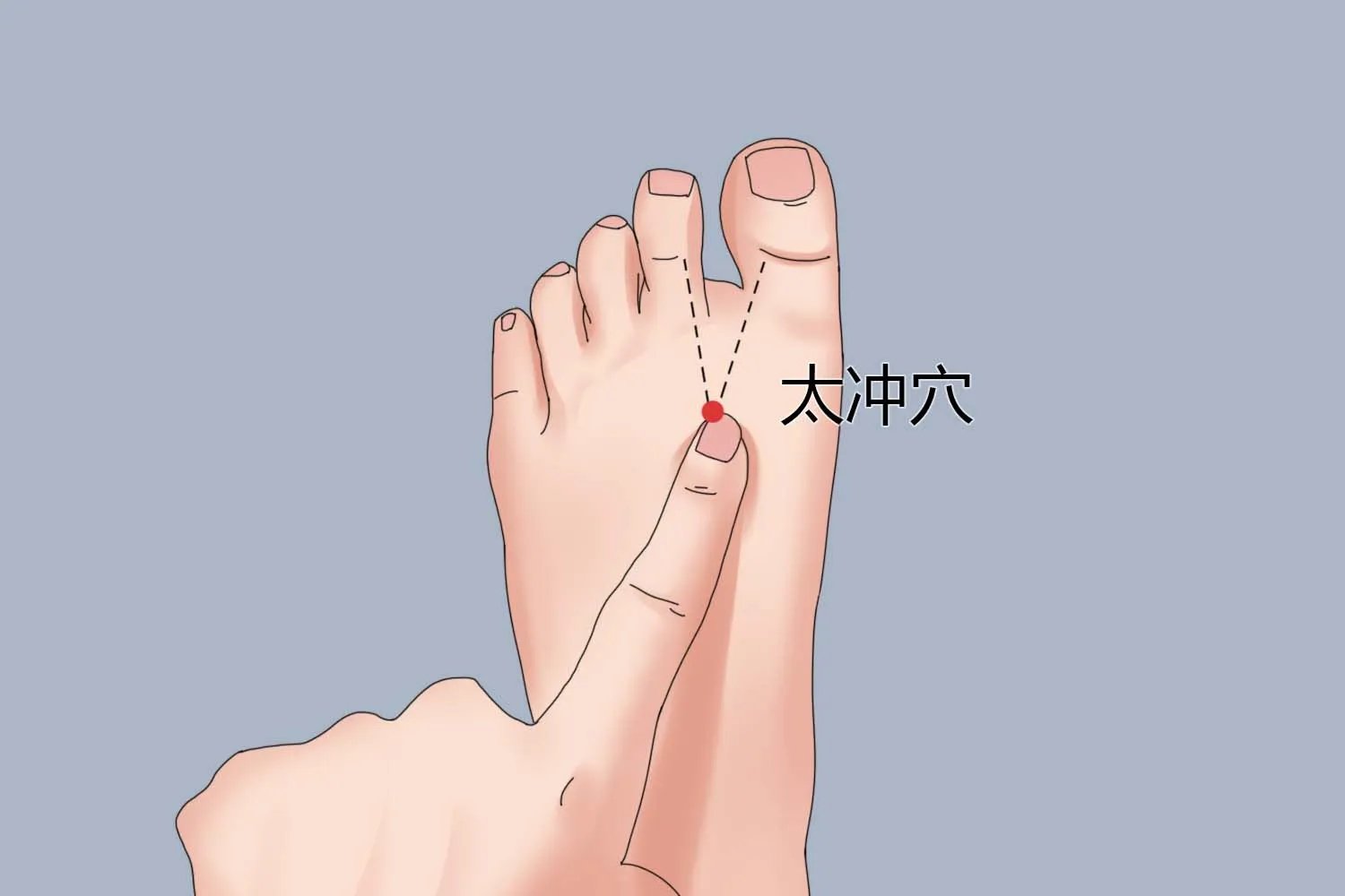 排瘀的具体部位图