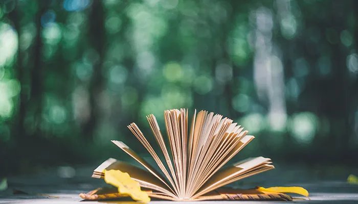 快闪是什么意思