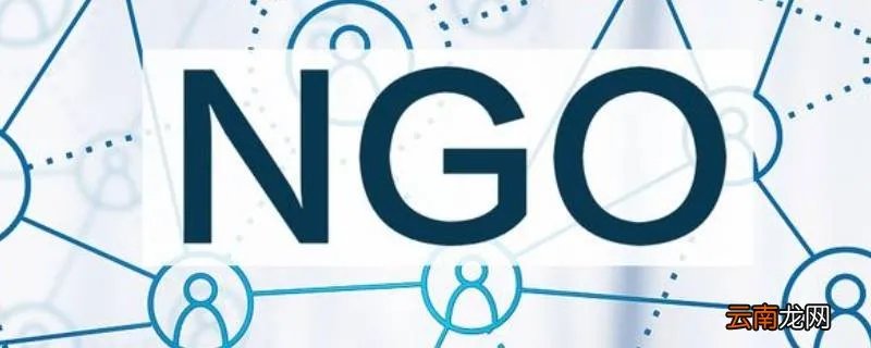 ngo是什么