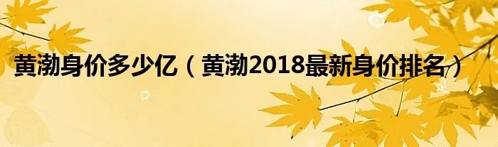 黄渤身价多少亿（黄渤2018最新身价排名）