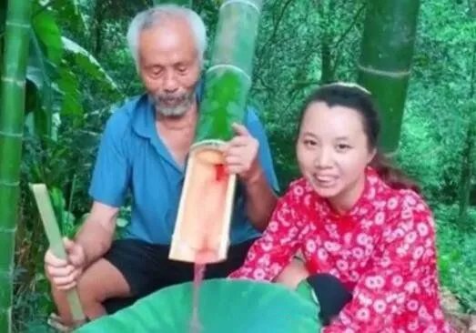 牛爱芳的小春花真实情况揭秘 怎么停更了掉了多少粉丝