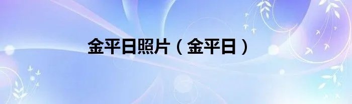 金平日照片（金平日）