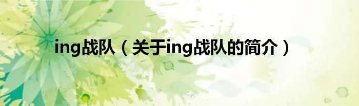 ing战队（关于ing战队的简介）