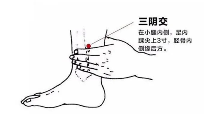 三阴交穴的位置