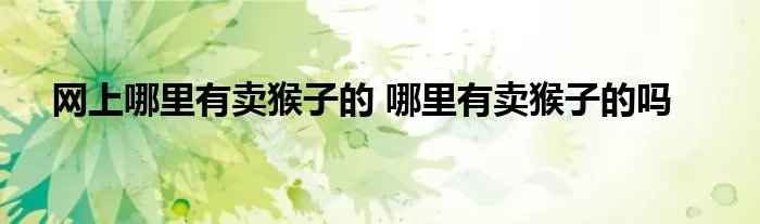 网上哪里有卖猴子的 哪里有卖猴子的吗