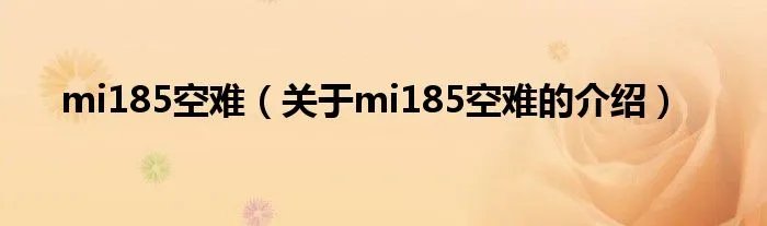 mi185空难（关于mi185空难的介绍）