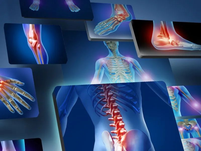 人体中最先衰老的器官是什么