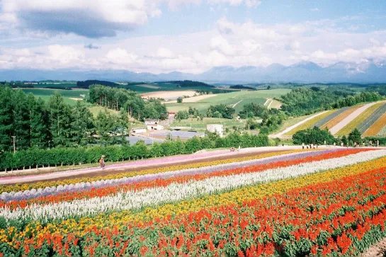 中国游客大巴车祸情况如何？