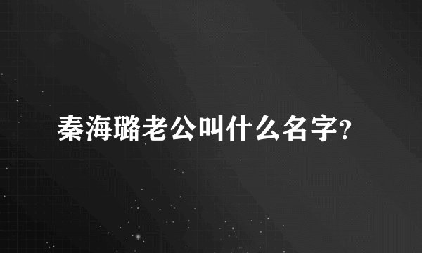 秦海璐老公叫什么名字？