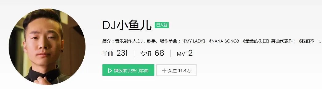 我坠入爱河那天 用一生回味一面是什么歌