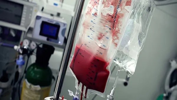 什么血型招蚊子