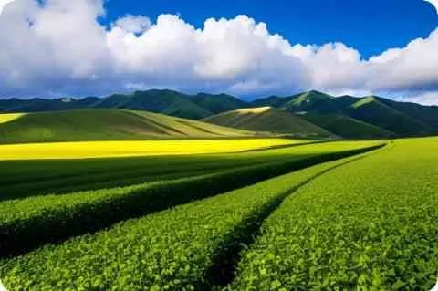 艶々恋母情话1熟研坊 恋母情话熟研坊16